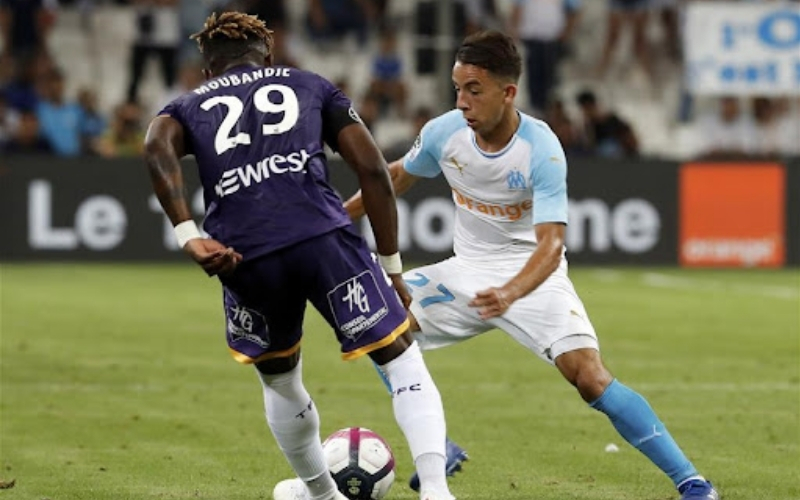 Phản ứng từ giới chuyên môn và người hâm mộ