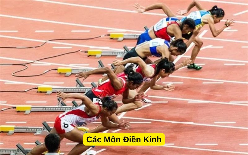 Các Môn Điền Kinh