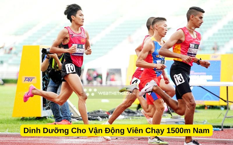 Dinh Dưỡng Cho Vận Động Viên Chạy 1500m Nam