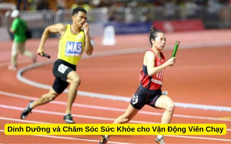 Dinh Dưỡng và Chăm Sóc Sức Khỏe cho Vận Động Viên Chạy