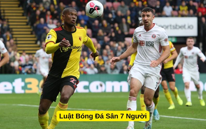 Luật Bóng Đá Sân 7 Người