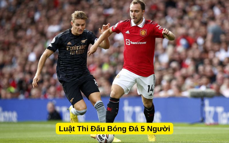 Luật Thi Đấu Bóng Đá 5 Người