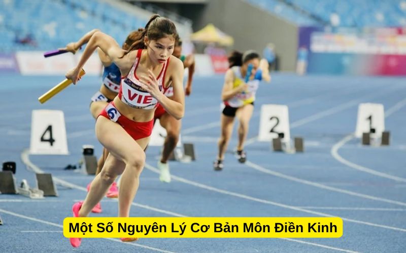 Một Số Nguyên Lý Cơ Bản Môn Điền Kinh