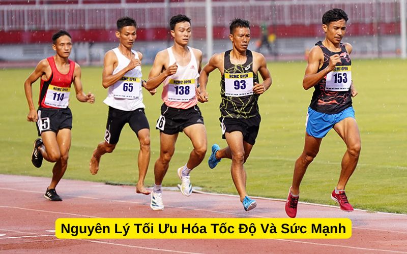 Nguyên Lý Tối Ưu Hóa Tốc Độ Và Sức Mạnh