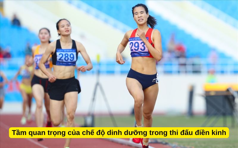 Tầm quan trọng của chế độ dinh dưỡng trong thi đấu điền kinh