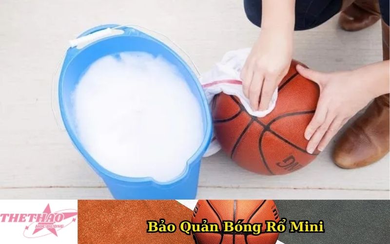 Bảo Quản Bóng Rổ Mini