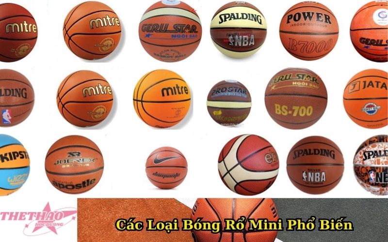 Các Loại Bóng Rổ Mini Phổ Biến