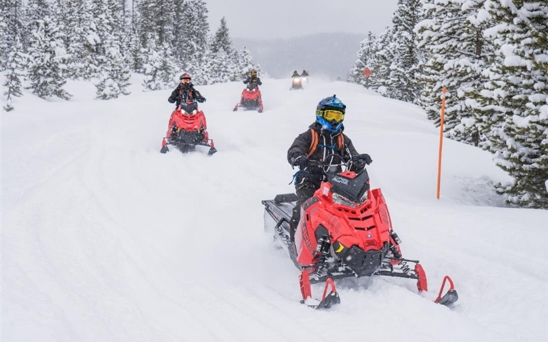 Top các môn thể thao mùa đông phổ biến và hấp dẫn nhất